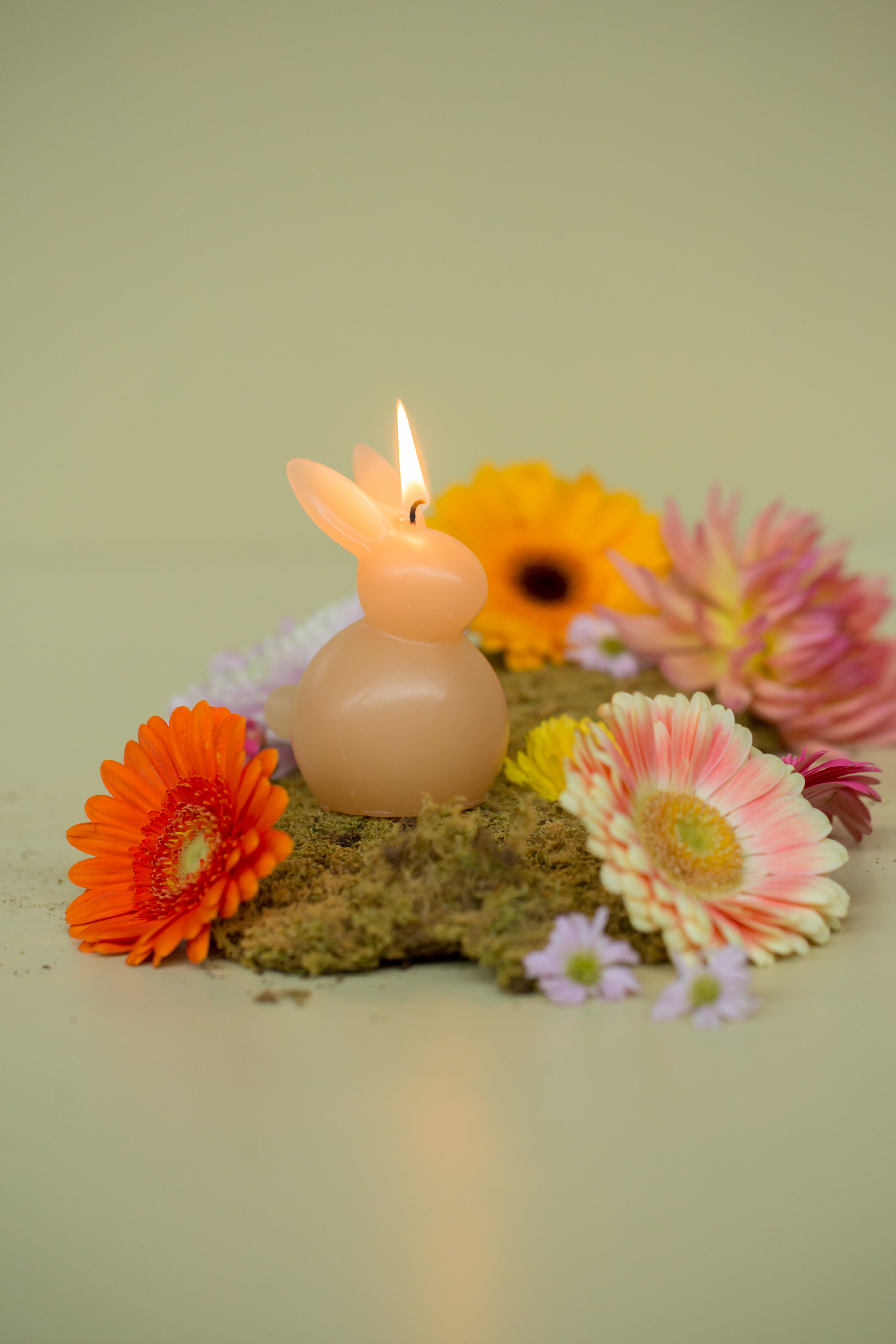 Bunny Kerze | Osterhasenkerze | Rustik Lys