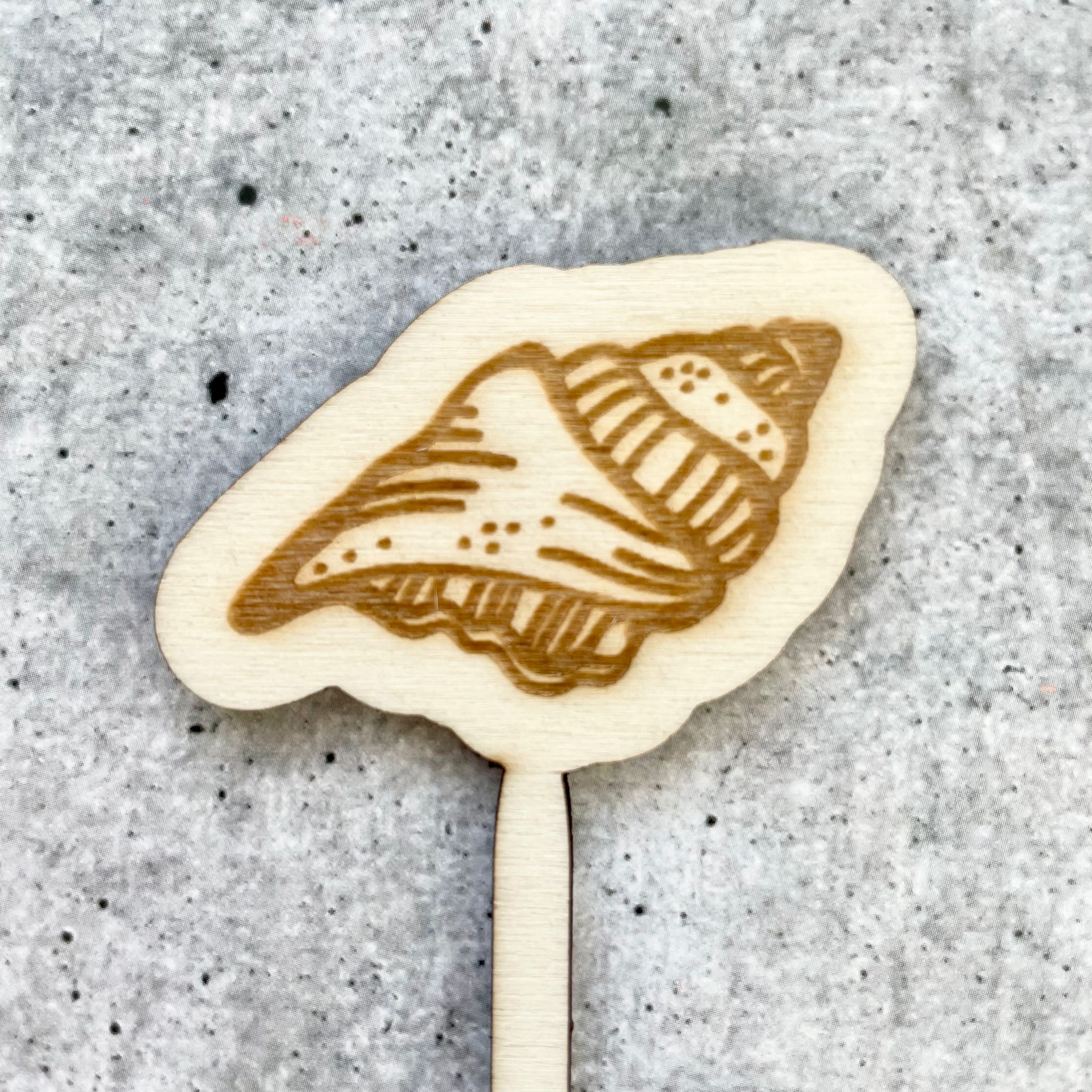 Caketopper Unterwasserwelt | Muschel |