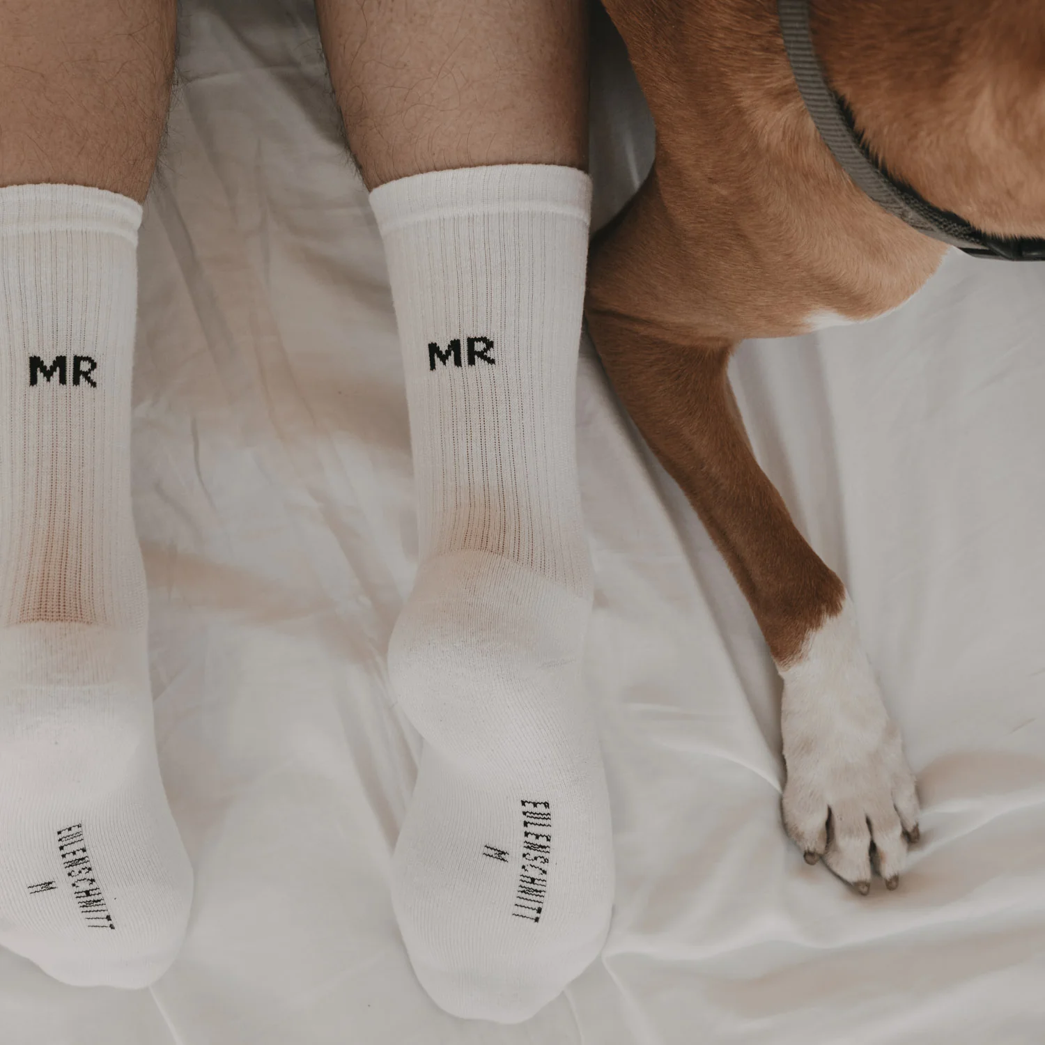 Mr Socken | Eulenschnitt
