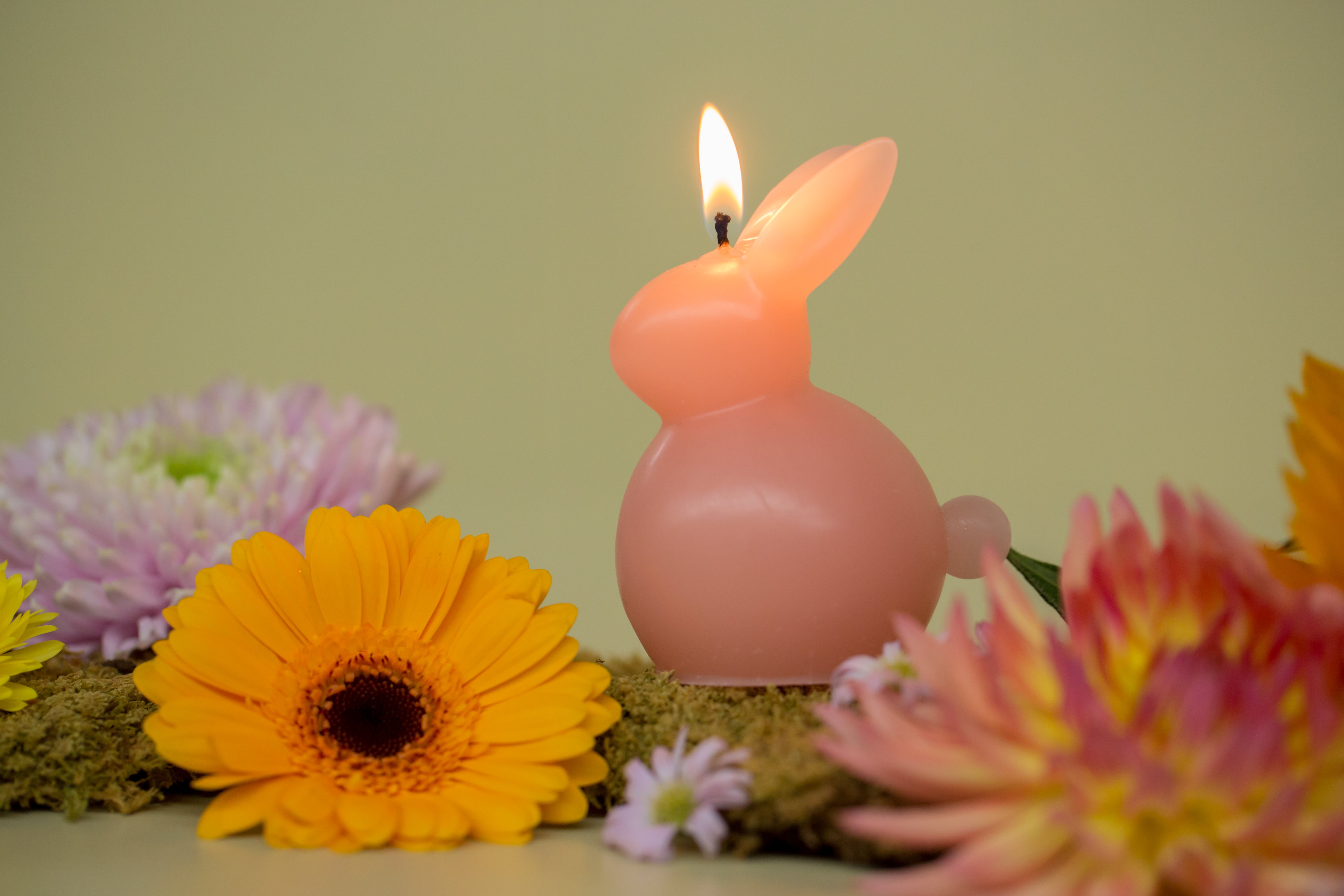 Bunny Kerze | Osterhasenkerze | Rustik Lys