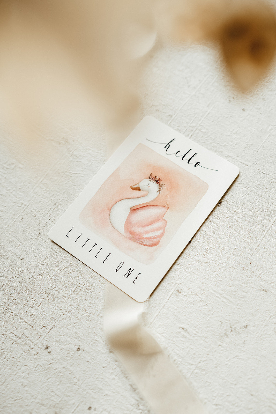 Hello little one | Swan | Linda Mundo